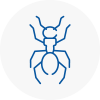 Ant Removals In Margate