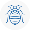 Bed Bug Extermination In Margate