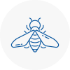 Bee Nest Removal Margate