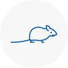 Mice Exterminators In Margate