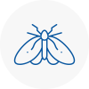 Moth Control Specialists In Margate