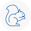 Margate Rodent Removals