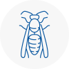 Margate Wasp Nest Removal